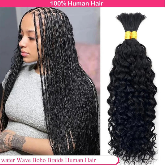 Boho Braids Human Hair Bulk Braiding Hair Water Wave 100% Human Hair Unprocessed Remy Bulk Hair No Weft Bundle Hair For Braiding - EverHype
