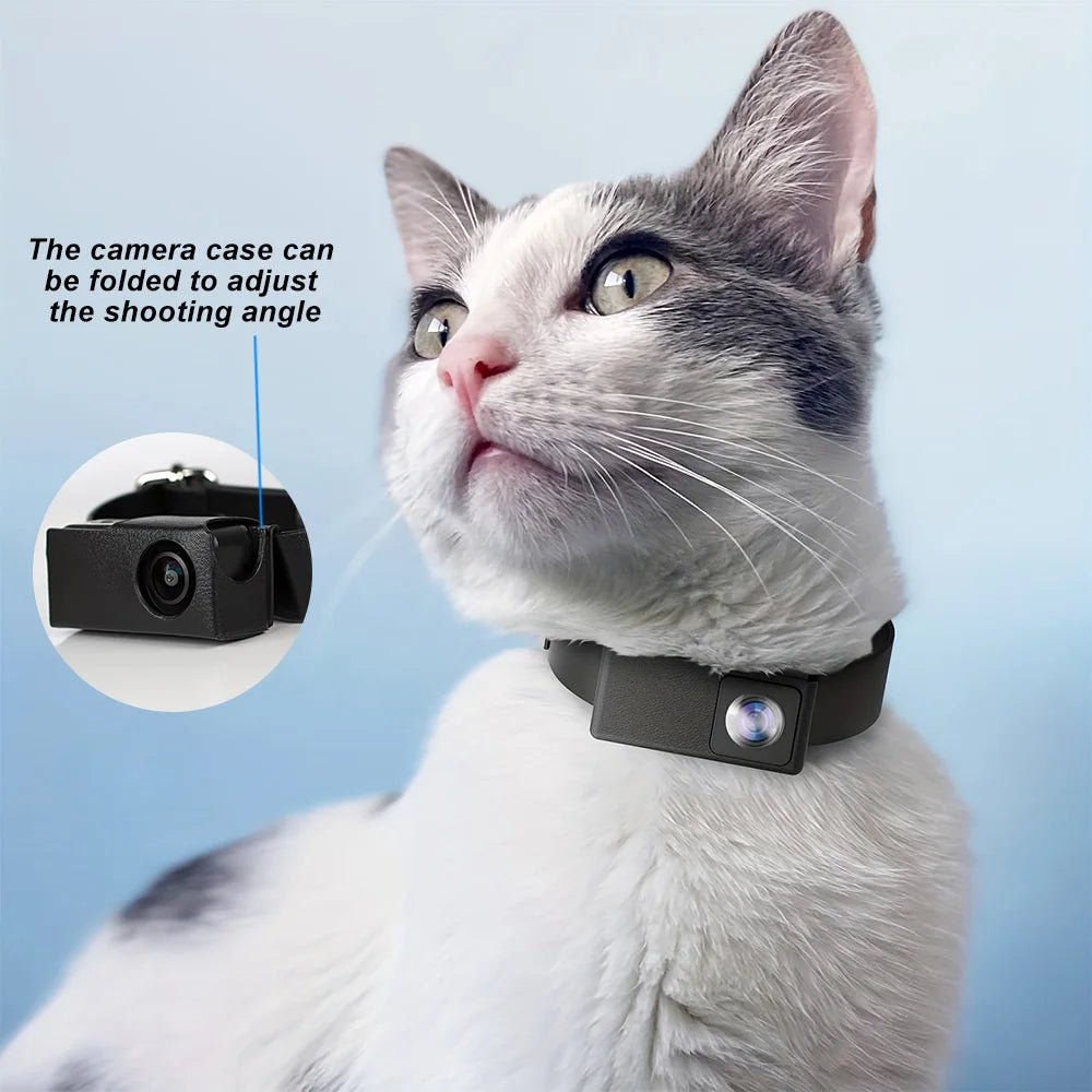 BORME HD 1080P Pet Cameras Dog Cat Pet Camera Wireless Collar Camera No WiFi Needed Video Records for Cats Dogs Birthday Gift - EverHype