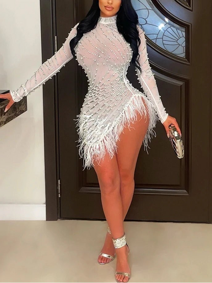 Luxury Feather Rhinestone Dress - Sheer Mesh Short Party Dress | Birthday & Evening - EverHype